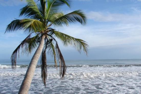 San Jose Island Costa Rica TI7XX DX News San Jose Island Costa Rica TI7XX DX News